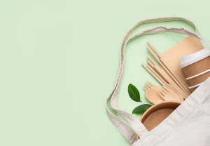 sustainable lifestyle tips